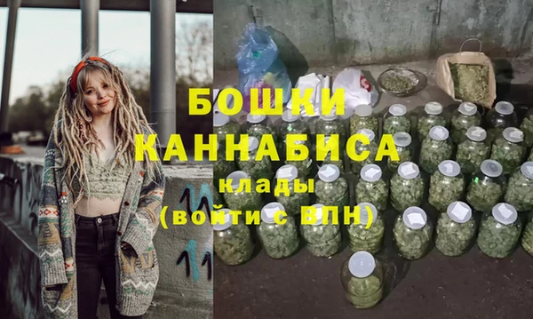 гидра Майский