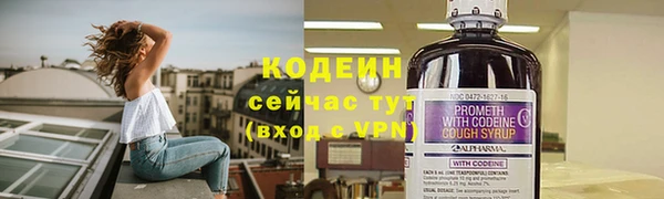 гидра Майский