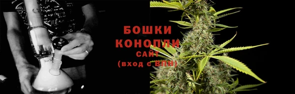 гидра Майский