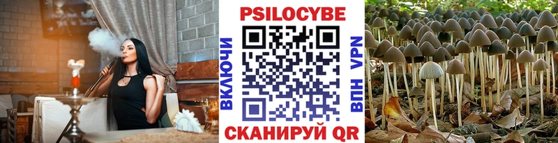 Купить закладки  Северск  Псилоцибиновые грибы Psilocybine cubensis 